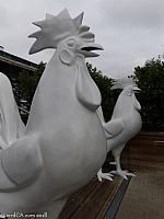 Two all White Roosters flank the door at the Anaheim Packing House